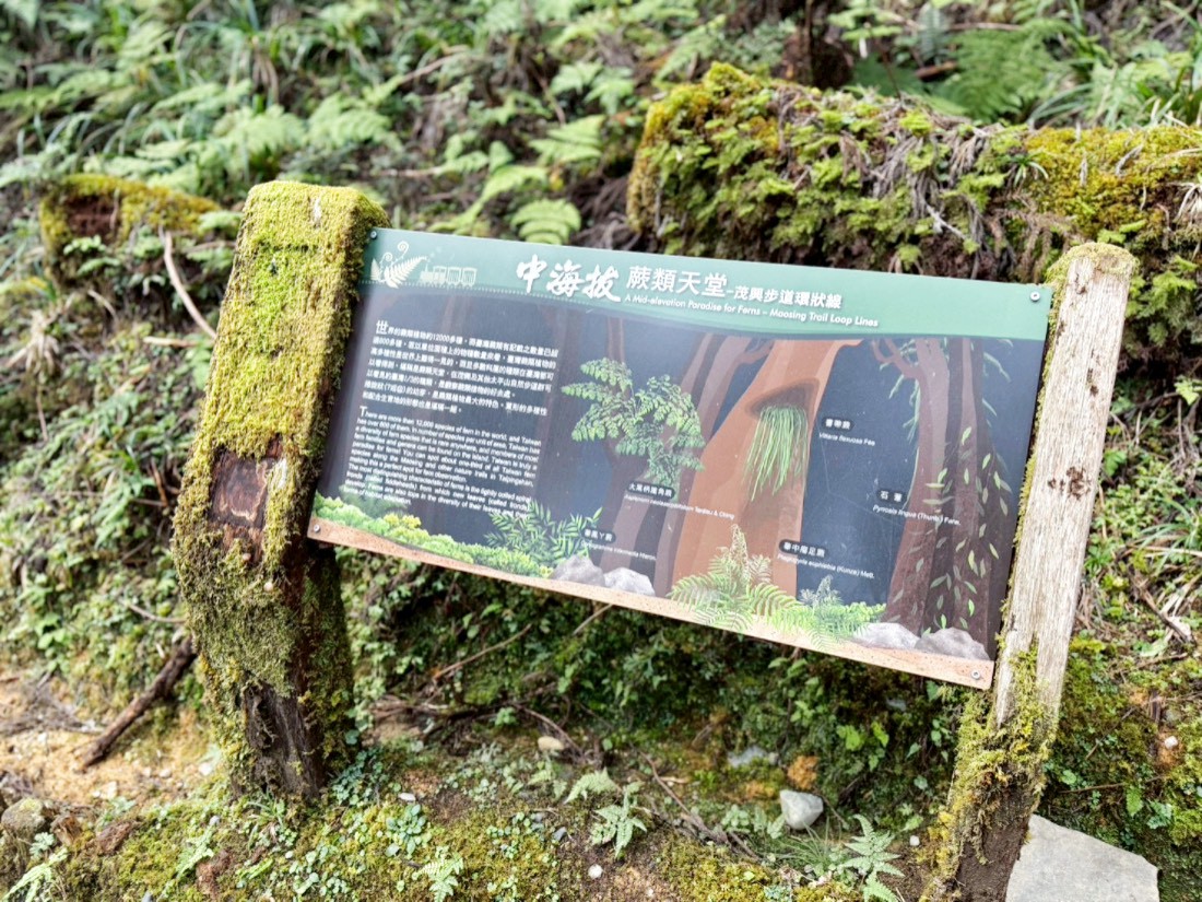 太平山蹦蹦車