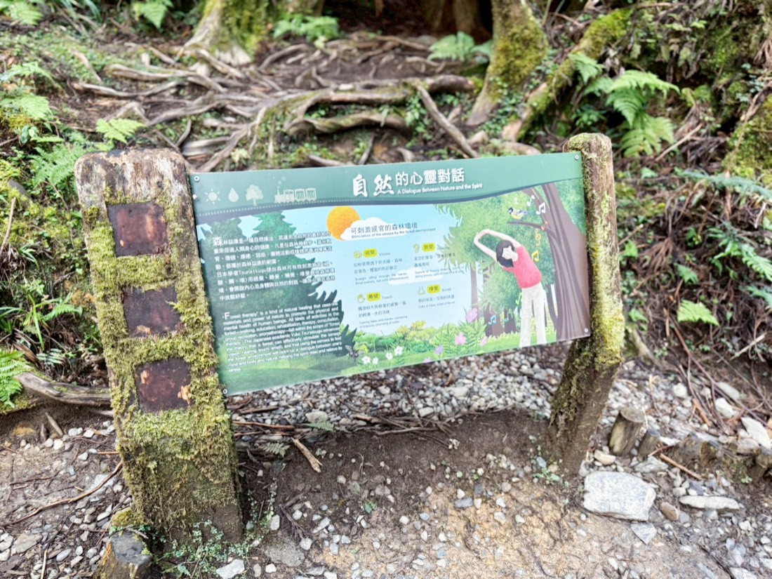 太平山蹦蹦車