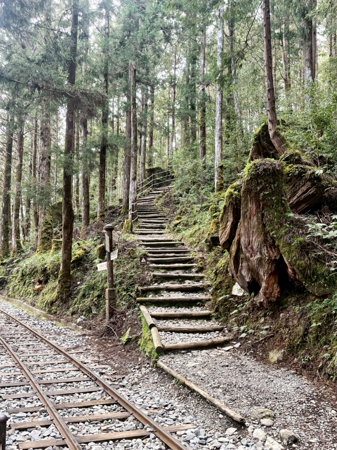 太平山蹦蹦車
