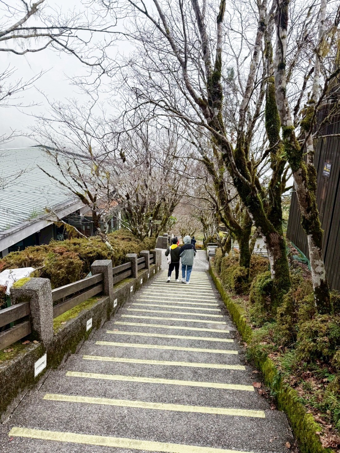 太平山蹦蹦車