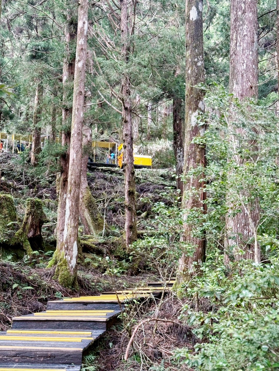 太平山蹦蹦車