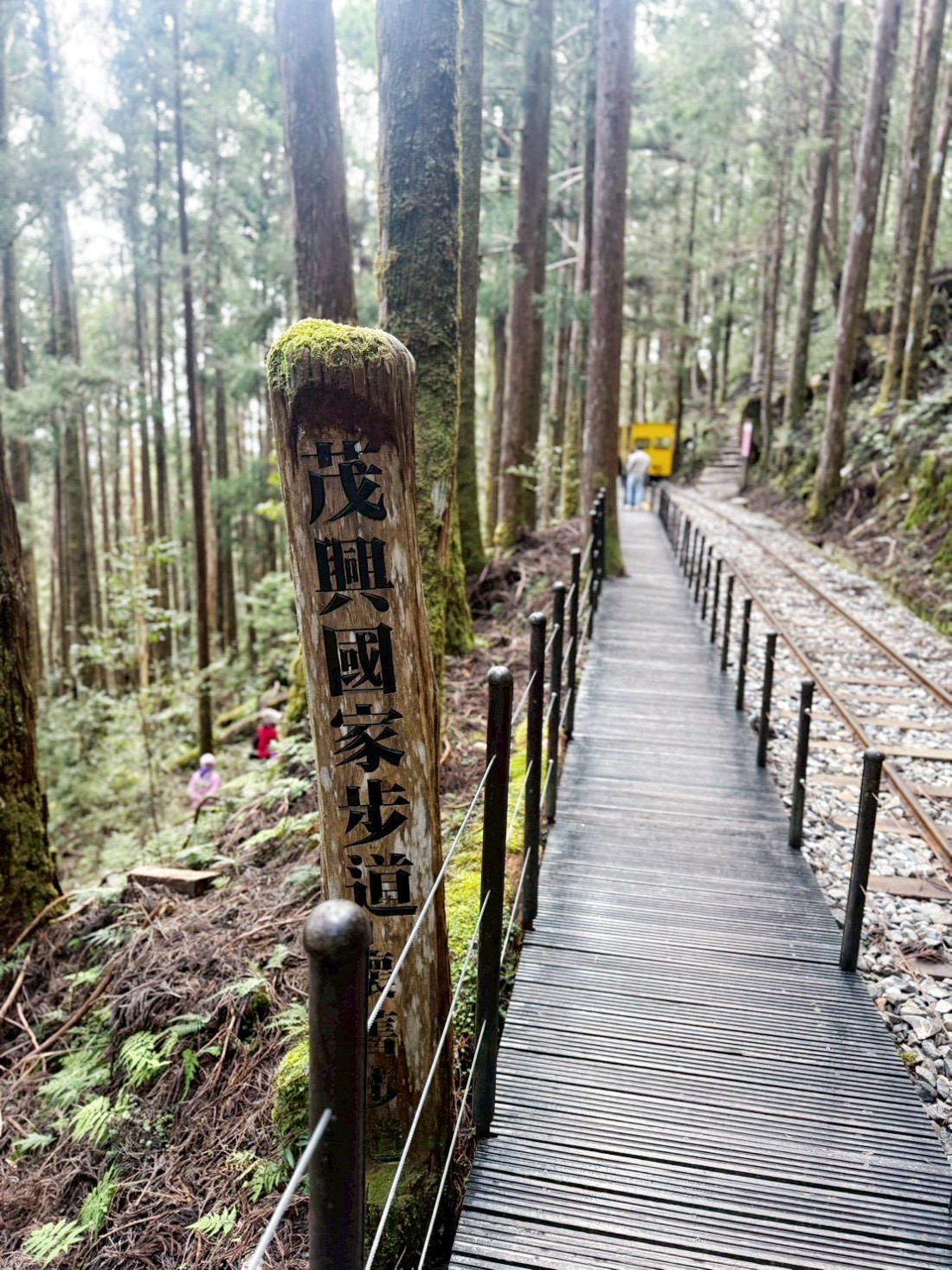 太平山蹦蹦車