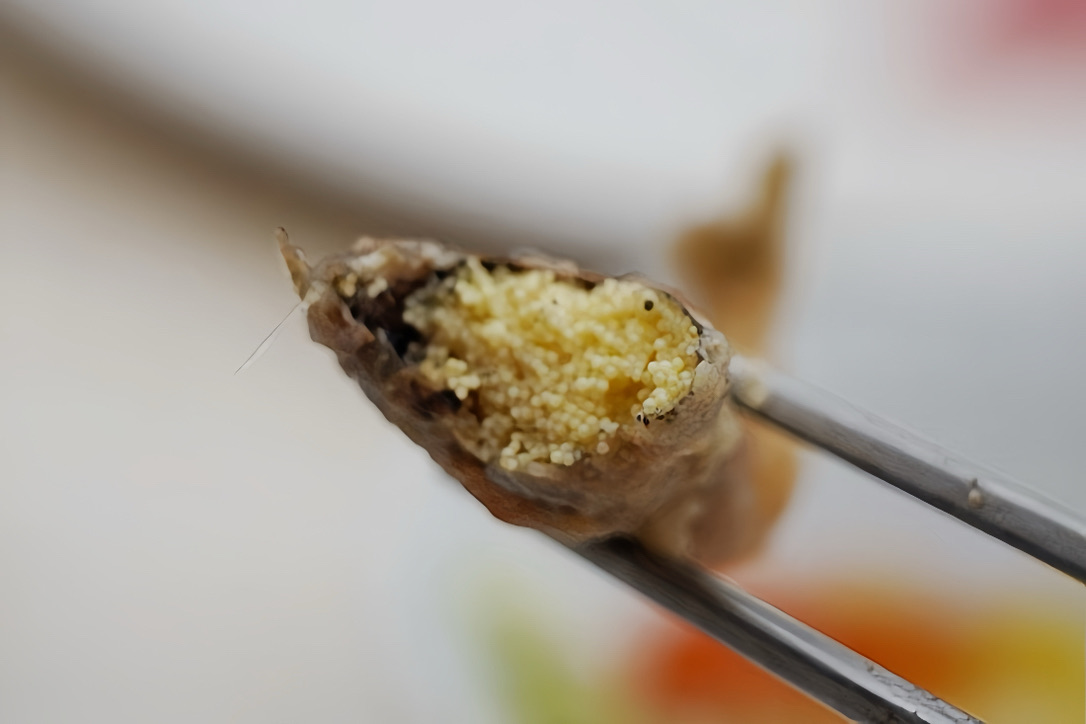 山里見月割烹鍋物