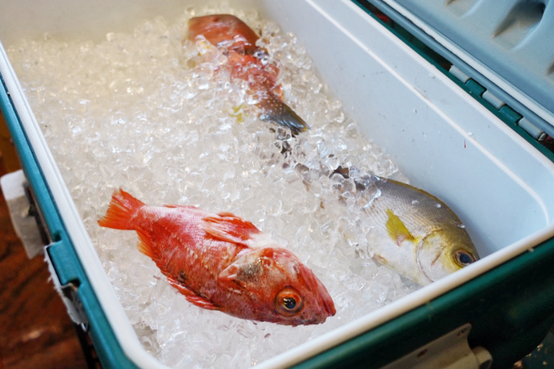 郭鵝肉海產店