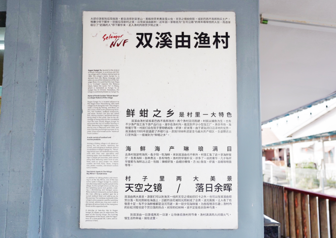 瓜拉雪蘭莪餵老鷹體驗,双溪由漁村海鮮飯店,餵老鷹,撈藍眼淚,搭船賞螢火蟲,馬來西亞自由行,漁村吃海鮮,馬來西亞美食
