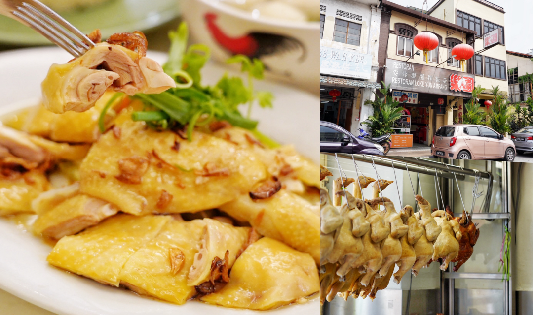 安邦樂園雞飯店