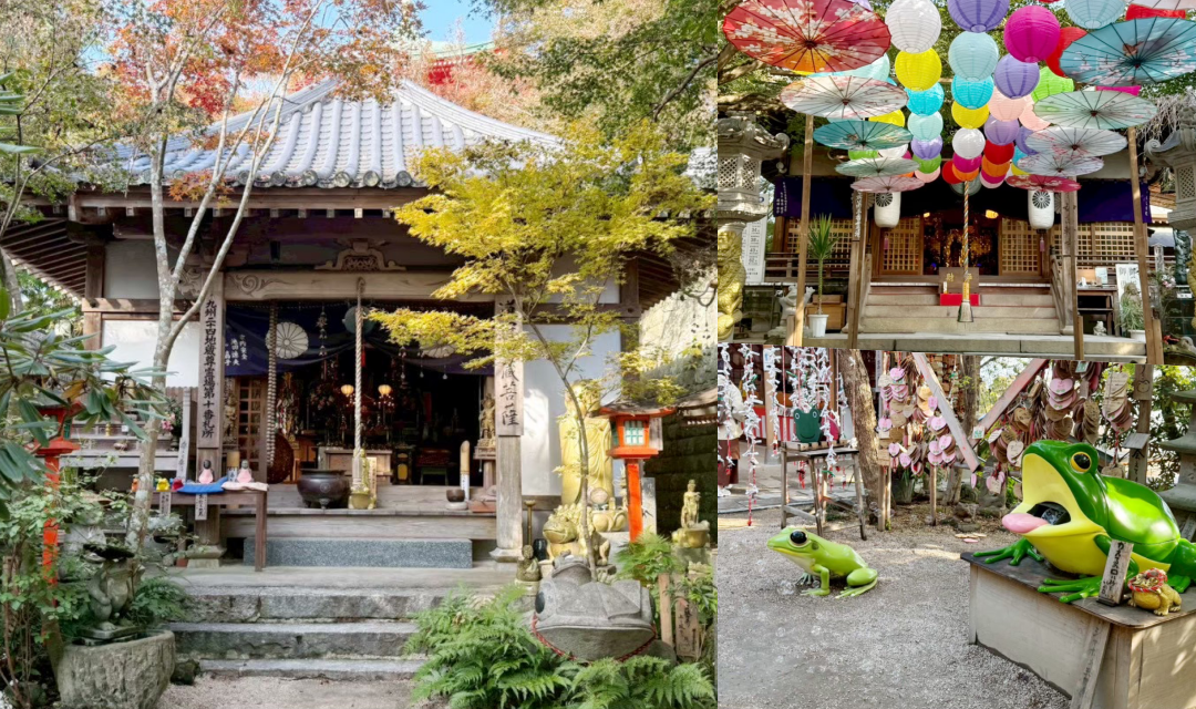 網站近期文章：如意輪寺｜福岡必訪千年古寺！近萬隻蛙蛙擺飾數到瘋，尋找平成四年開山之寶「初代蛙殿」