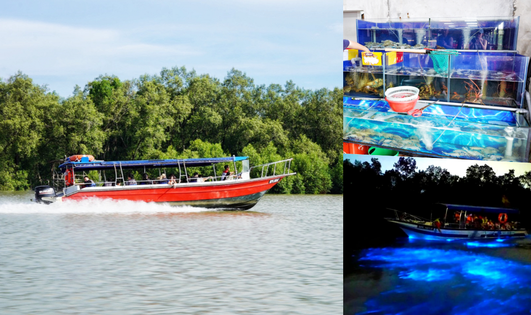 網站近期文章：馬來西亞自由行｜包車直達瓜拉雪蘭莪、雙溪由漁村！餵老鷹秀螢火蟲、平價現撈海鮮親子遊