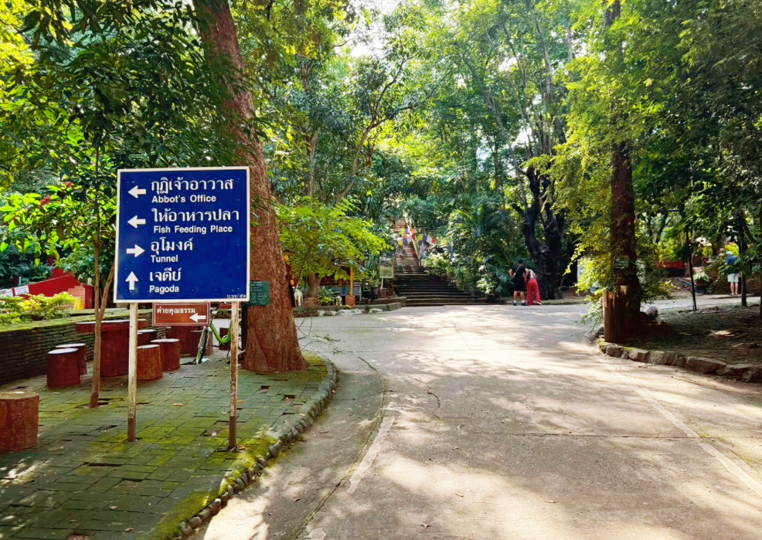 悟孟寺,Wat Umong,泰國景點,清邁景點,
